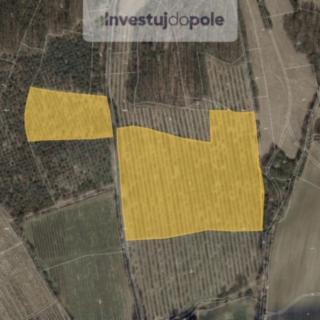 Prodej zemědělské půdy 6343 m² Liběšice