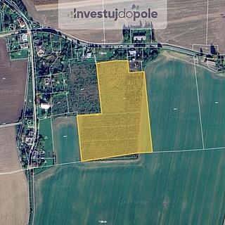 Prodej zemědělské půdy 28 555 m² Mikulovice