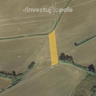 Prodej zemědělské půdy 1975 m² Petrovice