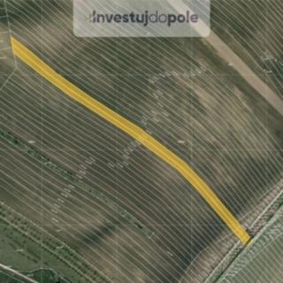 Prodej zemědělské půdy 10 109 m² Horní Bojanovice