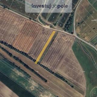 Prodej zemědělské půdy 1199 m² Šardice