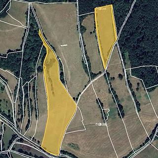 Prodej louky 116 519 m² Velemín Bílý Újezd