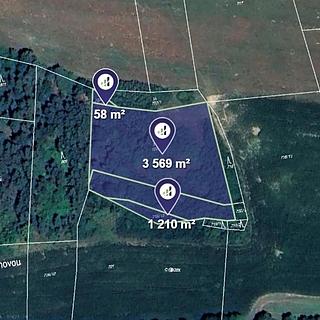 Prodej lesa 4 837 m² Čepřovice