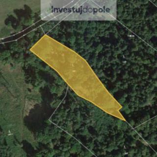 Prodej lesa 33038 m² Nová Ves