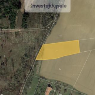 Prodej zemědělské půdy 2 234 m² Olšovice