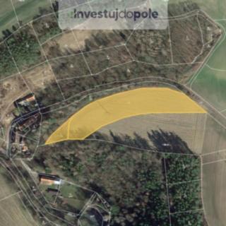 Prodej zemědělské půdy 6 316 m² Pavlíkov Tytry