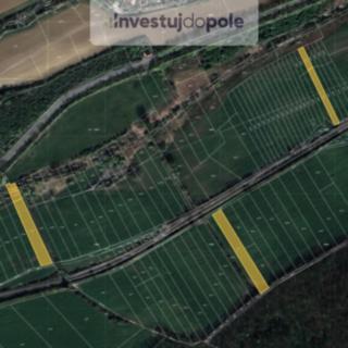 Prodej zemědělské půdy 6684 m² Nučice