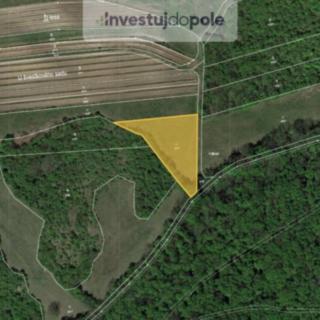 Prodej louky 2605 m² Horní Věstonice