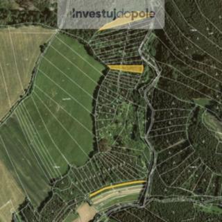 Prodej lesa 4 290 m² Letovice Slatinka