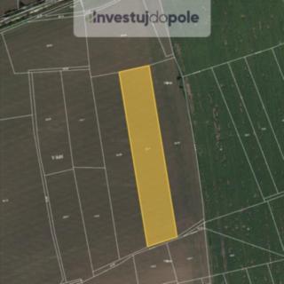 Prodej zemědělské půdy 6 542 m² Nučice