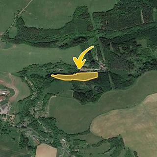 Prodej lesa 17451 m² Trutnov