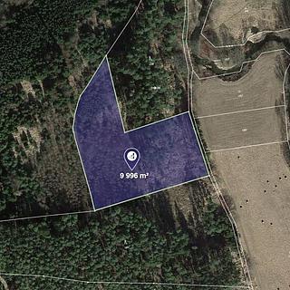 Prodej lesa 9 996 m² Kňovice