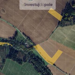 Prodej zemědělské půdy 3 048 m² Želiv Vitice
