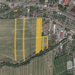 Prodej zemědělské půdy 10254 m² Hranice