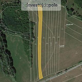 Prodej louky 3 114 m² Loučka Lázy