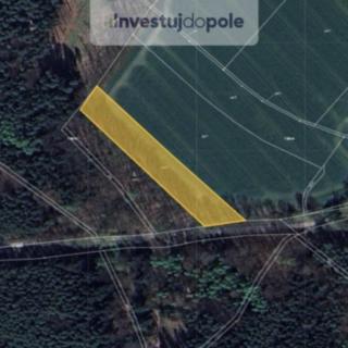 Prodej zemědělské půdy 4402 m² Troskovice