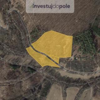 Prodej lesa 29768 m² Bojkovice