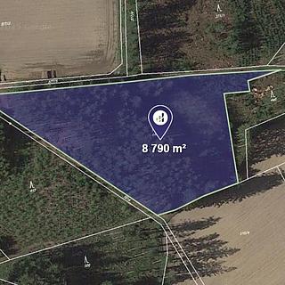 Prodej lesa 8790 m² Sázava