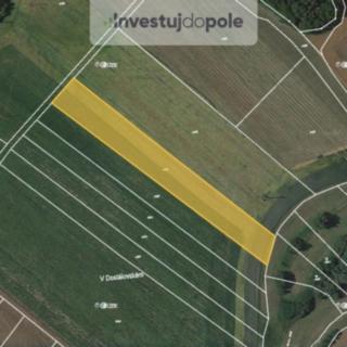 Prodej zemědělské půdy 5 560 m² Konice