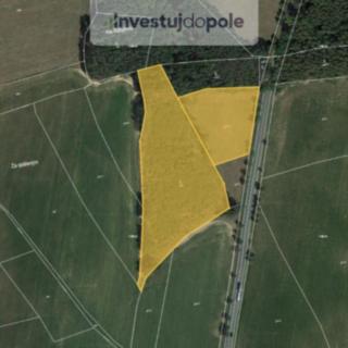 Prodej lesa 15277 m² Luženičky