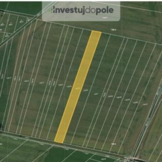 Prodej zemědělské půdy 2 935 m² Jasenná