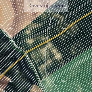 Prodej zemědělské půdy 8 100 m² Čejkovice