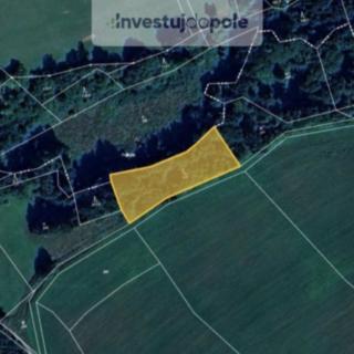 Prodej lesa 2 198 m² Prosíčka Dolní