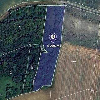 Prodej lesa 6 204 m² Vysoká