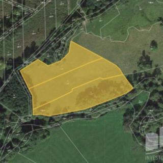 Prodej louky 16 774 m² Janovice nad Úhlavou Petrovice nad Úhlavou