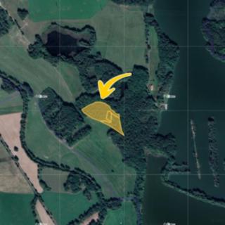 Prodej lesa 23281 m² Klec