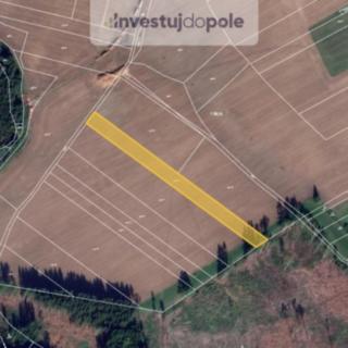 Prodej zemědělské půdy 6 113 m² Kamenice nad Lipou Vodná