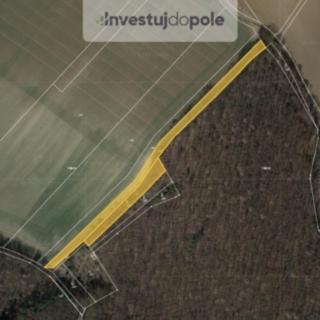 Prodej zemědělské půdy 3 394 m² Bučovice Černčín
