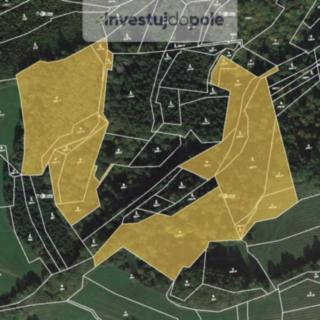 Prodej lesa 32951 m² Hovězí