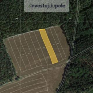Prodej zemědělské půdy 2 644 m² Všekary