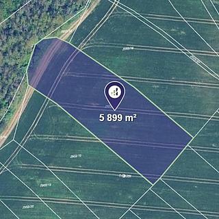 Prodej zemědělské půdy 1642 m² Blučina