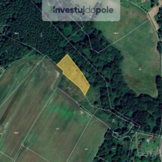 Prodej zemědělské půdy 1 945 m² Petrovice u Karviné Prstná