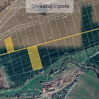 Prodej zemědělské půdy 33 543 m² Osvětimany
