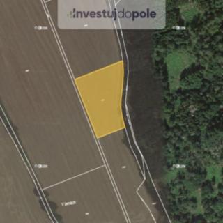 Prodej zemědělské půdy 5 105 m² Černíkov