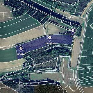 Prodej louky 24 367 m² Polepy Hrušovany