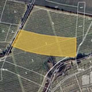 Prodej zemědělské půdy 3704 m² Liběšice