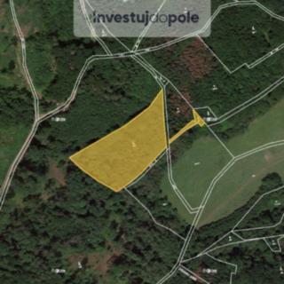 Prodej podílu lesa 4976 m² Úštěk