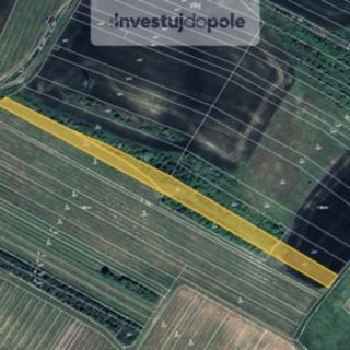 Prodej louky 4020 m² Starovičky