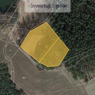 Prodej louky 8 354 m² Neveklov Bělice