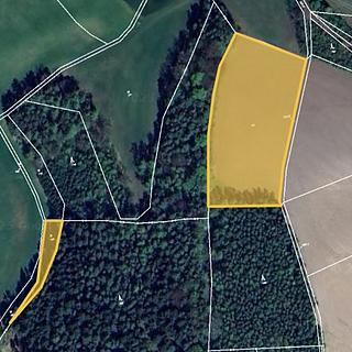 Prodej zemědělské půdy 9898 m² Bílá