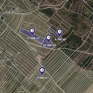 Prodej zemědělské půdy 33891 m² Horušice