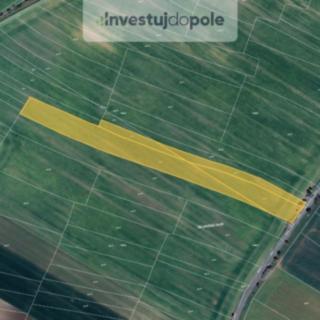 Prodej zemědělské půdy 24376 m² Kostelec nad Labem