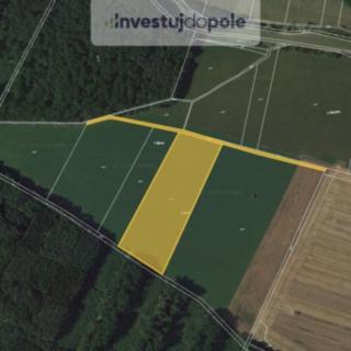 Prodej podílu zemědělské půdy 5465 m² Dětenice