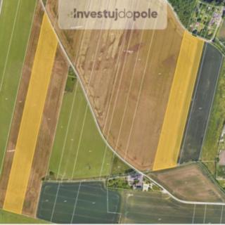 Prodej zemědělské půdy 3 943 m² Plzeň