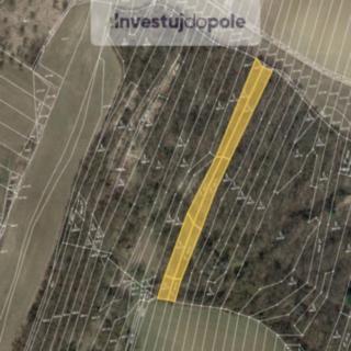 Prodej lesa 3433 m² Bučovice