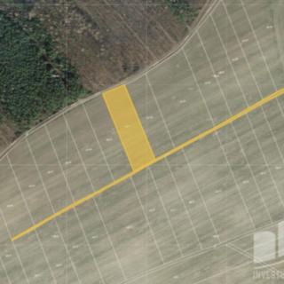 Prodej zemědělské půdy 2976 m² Hřebečníky